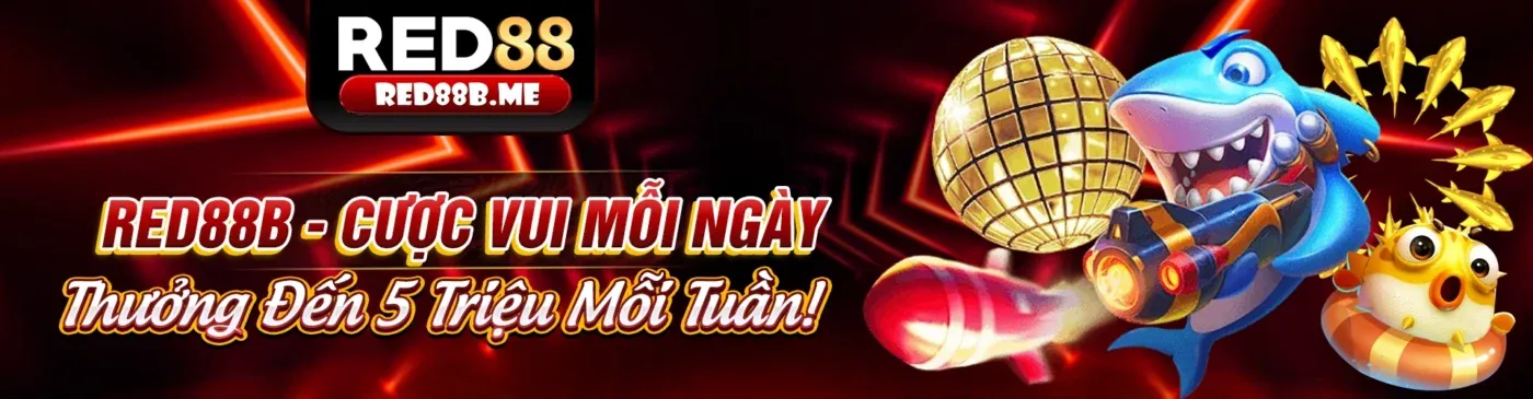 Tin tức và ưu đãi mới nhất từ 79king2 link mới