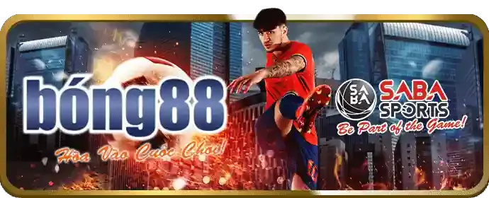Đường Dây Nóng / Hotline